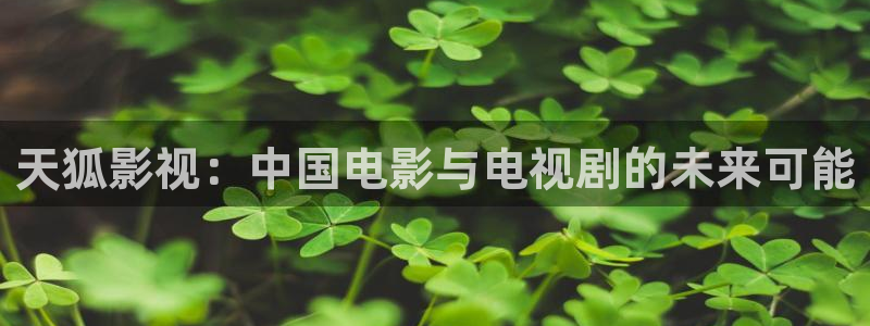 蕾丝丝瓜视频：天狐影视：中国电影与电视剧的未来可能