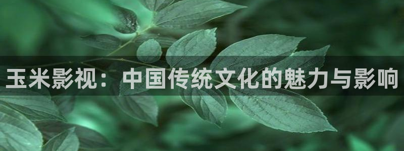 丝瓜嚷：玉米影视：中国传统文化的魅力与影响