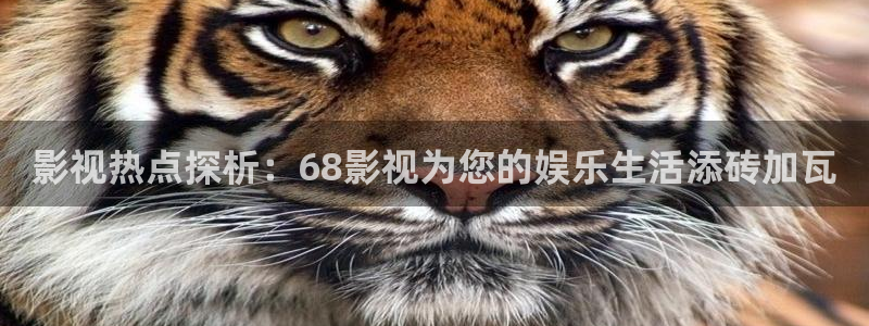 丝瓜视频apk下载：影视热点探析：68影视为您的娱乐生活添砖加瓦
