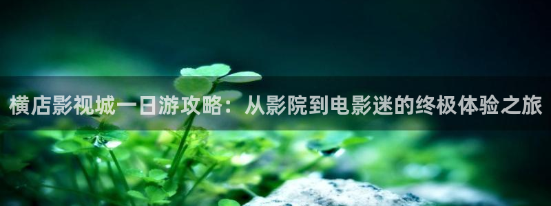 丝瓜视频高清完整版：横店影视城一日游攻略：从影院到电影迷的终极体验之旅