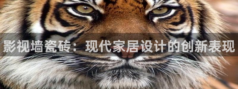 丝瓜的管理视频：影视墙瓷砖：现代家居设计的创新表现