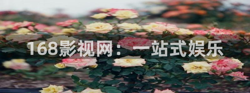 丝瓜黄瓜视频在线观看：168影视网：一站式娱乐